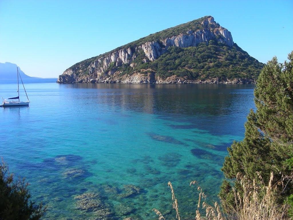Biggy Apartment Olbia Pokój zdjęcie